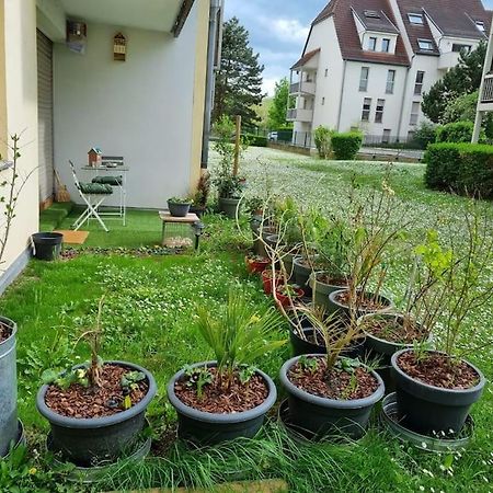 L'Univers Au Blanc. สตราสบูร์ก ภายนอก รูปภาพ